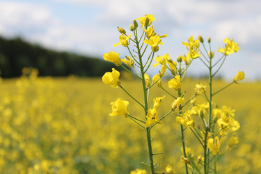 Similar image 22611591