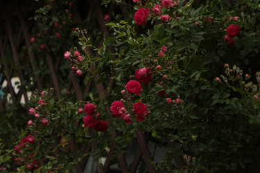 Similar image 22611593