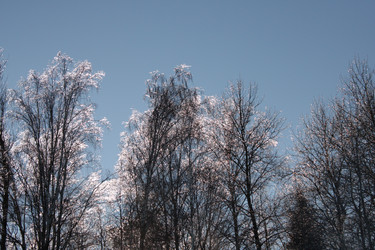 Similar image 22611594