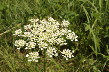 Similar image 22611595