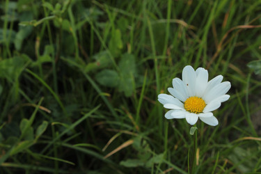 Similar image 22611596