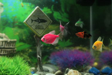 Similar image 22611597