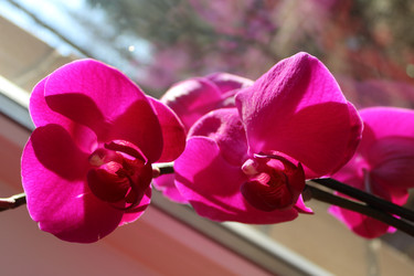 Similar image 22611600