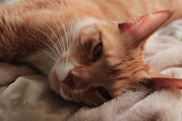 Similar image 22611601