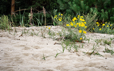 Similar image 22621125