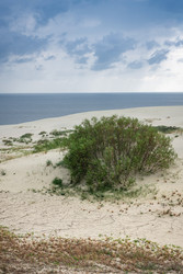 Similar image 22621126