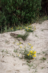 Similar image 22621129