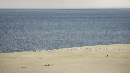 Similar image 22621131