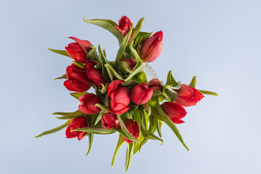 Similar image 22611578