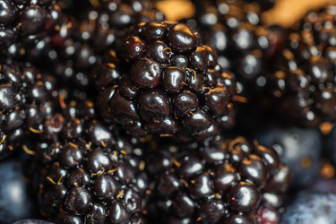 Similar image 22618478