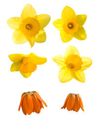 Similar image 22615075