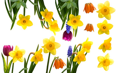 Similar image 22615076