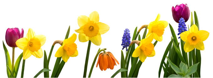 Similar image 22615078