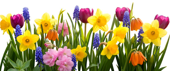 Similar image 22615080