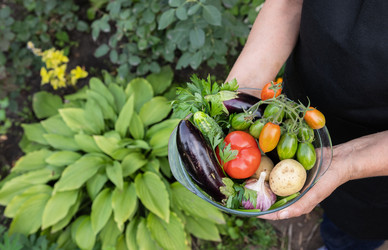 Similar image 22618515