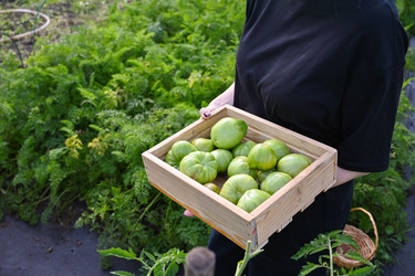 Similar image 22618516