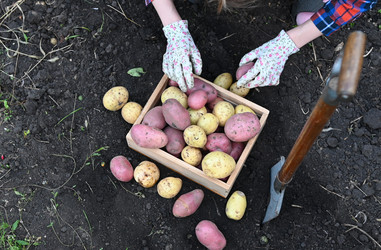 Similar image 22618517