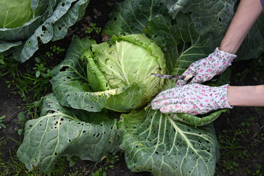 Similar image 22618523