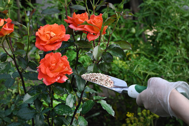 Similar image 22618529