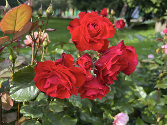 Similar image 22618530