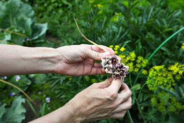 Similar image 22618533