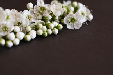 Similar image 22618546