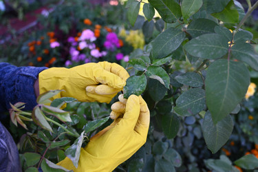 Similar image 22618547