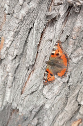 Similar image 22615041