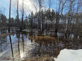 Similar image 22618481