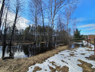 Similar image 22618482