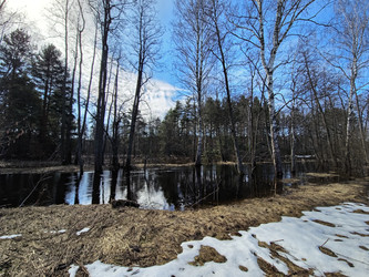 Similar image 22618483