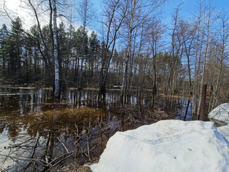 Similar image 22618484