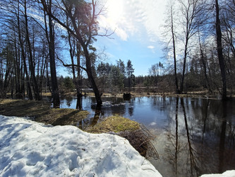 Similar image 22615083