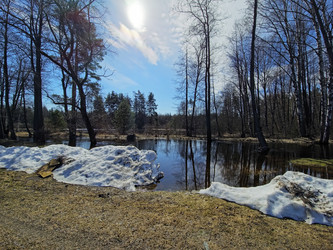 Similar image 22615085