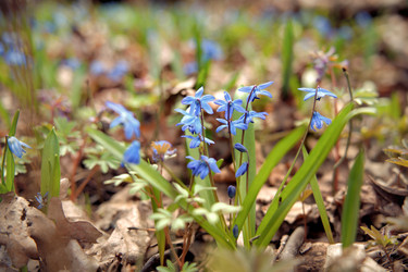 Similar image 22621850