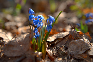 Similar image 22621851