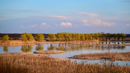 Similar image 22621852