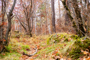 Similar image 22618236