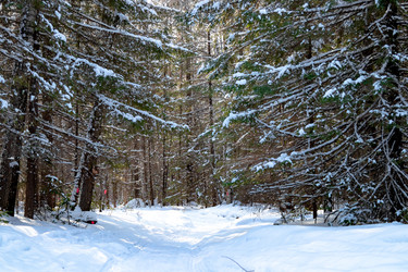 Similar image 22618257