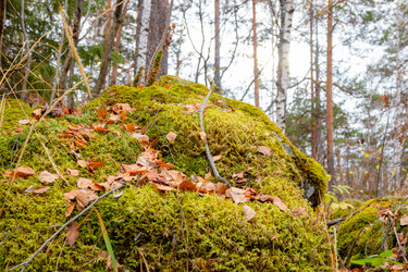 Similar image 22618259