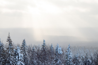 Similar image 22618262