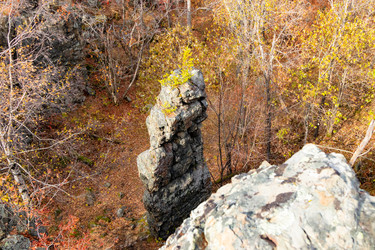 Similar image 22618265