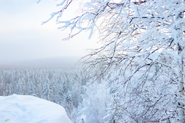 Similar image 22618238