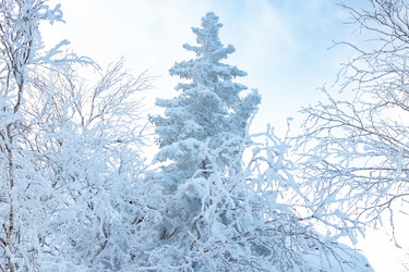 Similar image 22618240