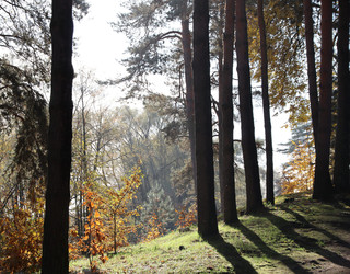 Similar image 22618142