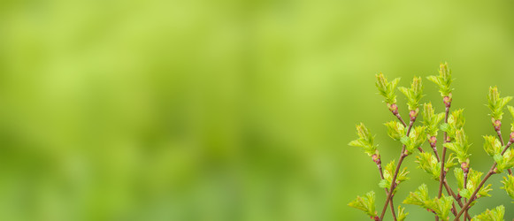 Similar image 22615045