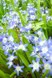 Similar image 22615046