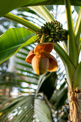 Similar image 22615048