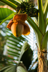 Similar image 22615049