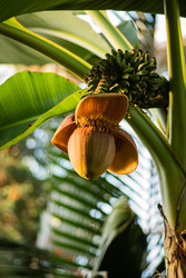 Similar image 22615051